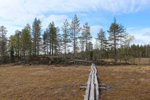 Erämaakirkko Erämaakirkko